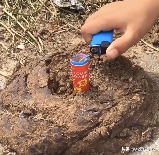 儿时的简易自制玩具，7080年代农村孩子自制49个纯天然玩具