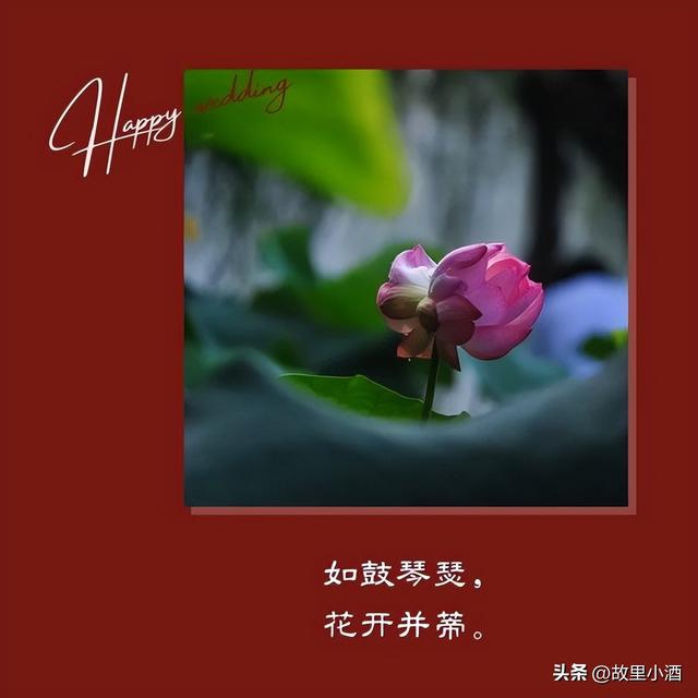 新婚祝福简短话，新婚祝福小短句（新婚祝福语：举案齐眉）
