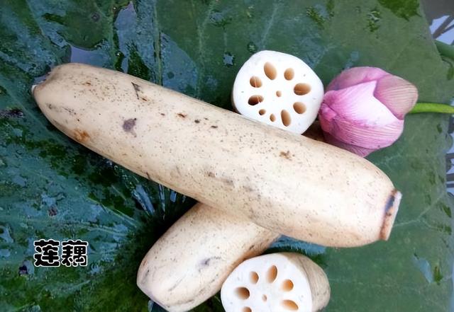 十大打农药最多的菜有哪些，哪种菜农药比较少（天生自带“驱虫”能力的10种蔬菜）