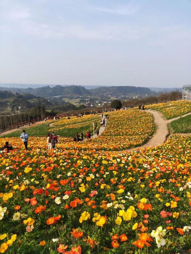 四川宜宾县横江古镇，3月20日-26日宜宾市乡村旅游点综合人气指数排行