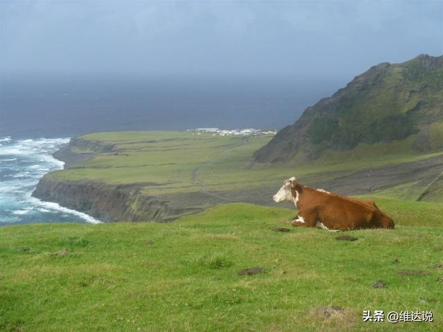 现实版招赘婿，世界最偏僻且有人居住的岛屿,全球招赘婿