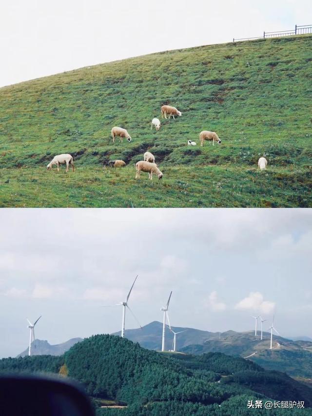 抚仙湖要门票吗，抚仙湖攻略一日游（挖到李健超爱的神仙小城）
