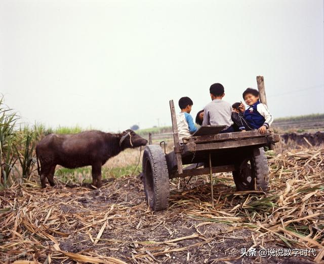 除夕意味着什么，夫妻没话说意味着什么（过年，对我们意味着什么）