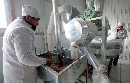 小麦粉可以做什么吃的，小麦粉可以做什么吃的油炸（认识小麦面粉）