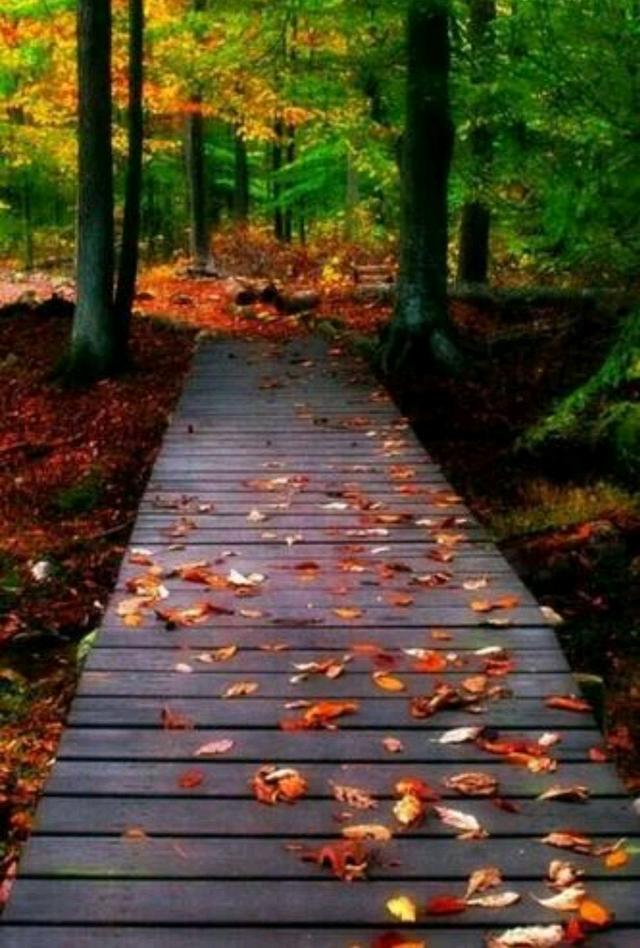 关于安静的心情的散文，散文《安静》（余生做一个温柔而安静的人）