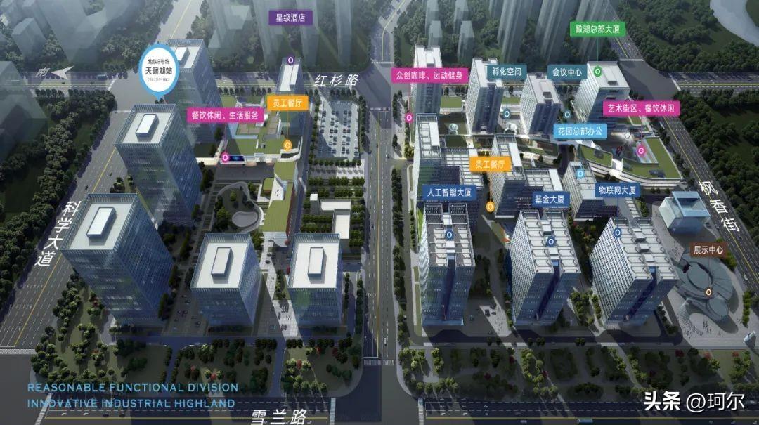 郑州市经开区(郑州市经开区纪检委成员)