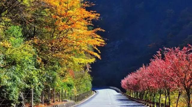 秋天是一个什么样的季节，秋天是一个什么样的季节写一段话（分享绝美秋色：叠翠流金）