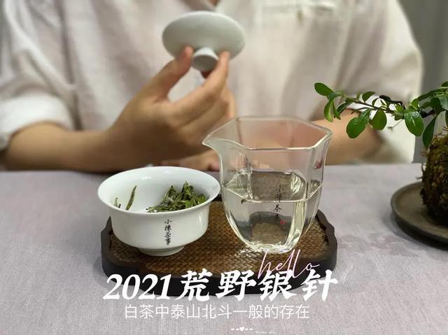 白毫银针怎么泡，白毫银针如何冲泡（好几千买的白毫银针）
