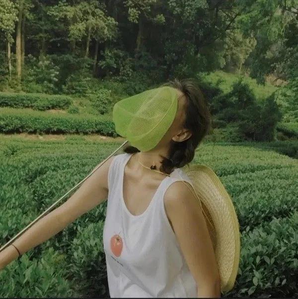 绿色小清新系列的qq女生头像  夏有森光暖无疑微信，绿色小清新系列的qq女生头像  夏有森光暖无疑（女生头像：夏日清新绿色系头像）