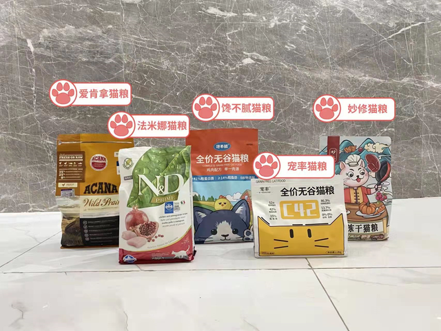 最好看的三种长毛猫，“靠颜值打天下”的几种猫咪