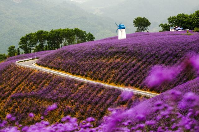 恩施几月份去旅游最好，恩施旅游什么时候最佳（适合七八月旅行的８座小城）