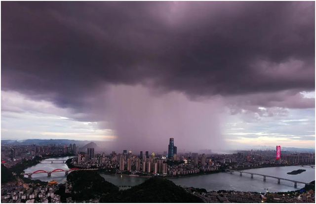 最恐怖的云，最恐怖的动物（河南出现神秘“糙面云”）