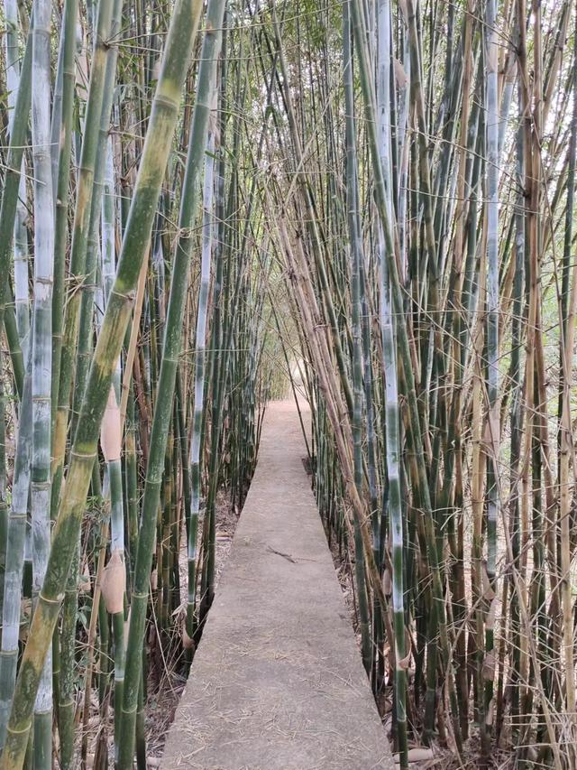 和朋友道别的唯美句子，朋友告别的唯美句子（致逐渐远去的朋友）