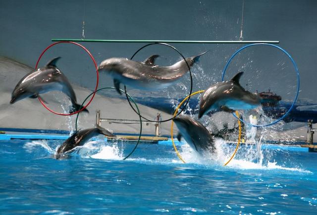 青岛景点介绍，青岛旅游景点介绍大全（10个推荐景点及周边玩法攻略）