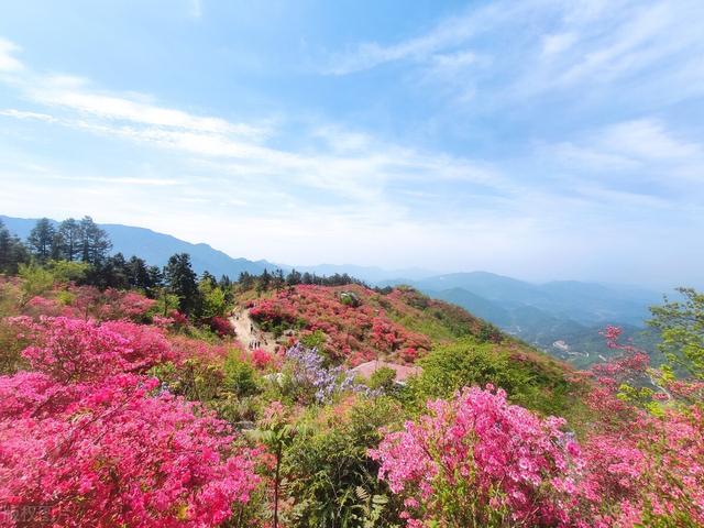 张家界十大景点排名，张家界必去景点攻略（张家界地区名胜古迹、简介）