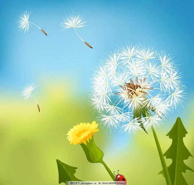 你若安好便是晴天，你若安好便是晴天的下一句是什么（你若安好，便是晴天）