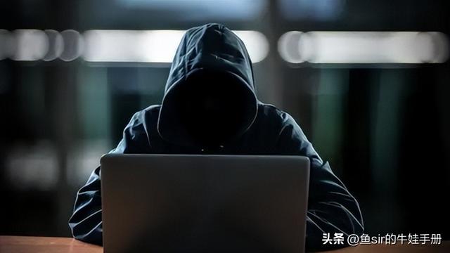 如何自己软件编程，如何学习软件编程（7岁前不学纯软件）