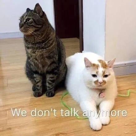 斗图专用，斗图专用表情包熊猫头（表情包，斗图专用表情）