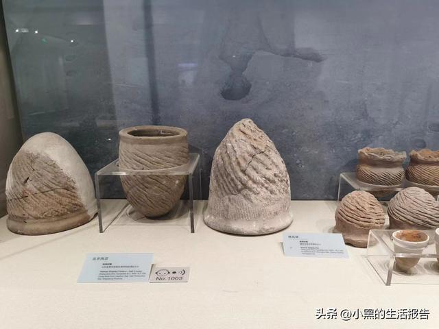 江苏盐城大丰荷兰花海门票，五一就去这里！儿童友好型