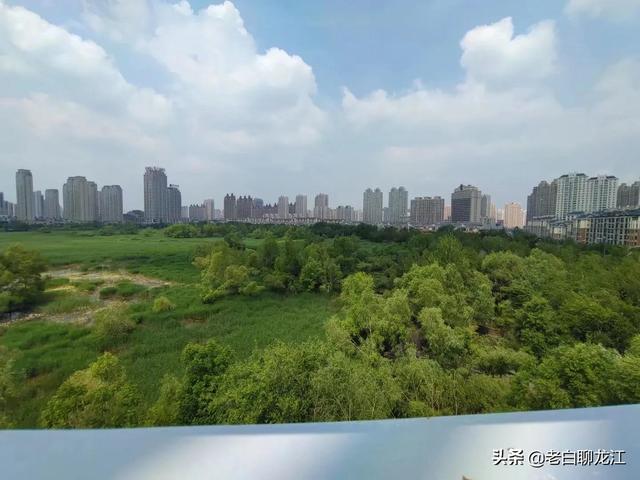 哈尔滨群力湿地公园，群力新区十一大公园