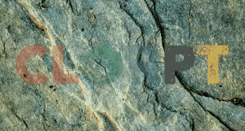 土地性质分类和用途，怎么查个人土地信息（附中国土壤的分类及分布）