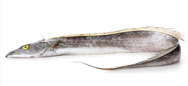 什么鱼适合清蒸，什么鱼适合蒸（带你认识不同的鱼和吃法）