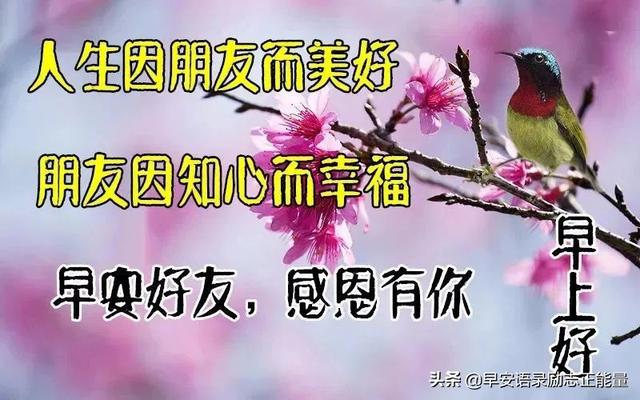 发自拍照的励志语录，适合发自拍照的句子正能量（早安励志正能量精辟短句子）