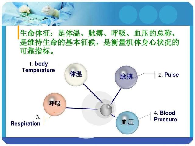 无生命体征是什么意思，目前已无生命体征