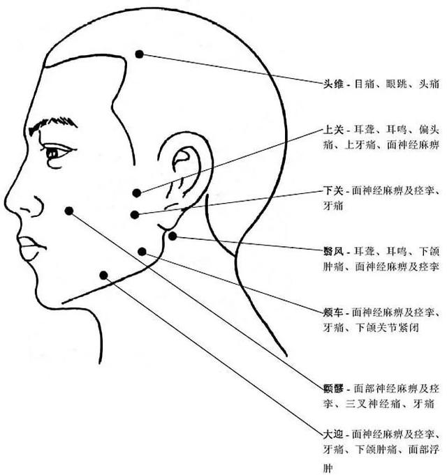  颧髎怎么读，清热消肿、息风止痉—颧髎穴