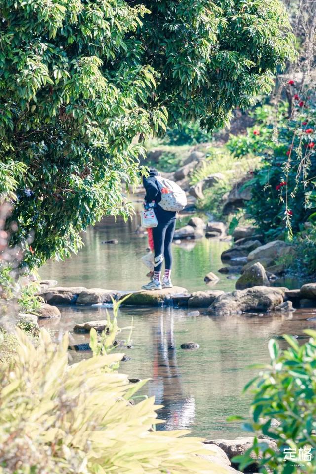深圳旅游景点大全介绍，深圳的旅游景点有哪些地方（来深圳这10个地方玩吧）
