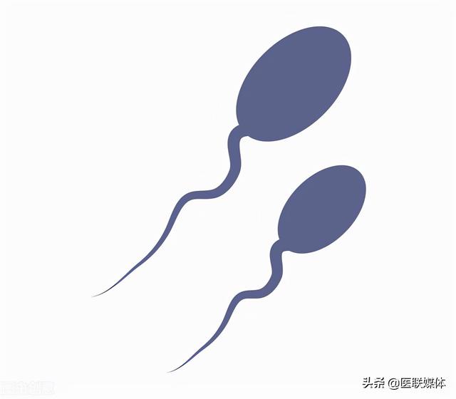 胎停是什么原因造成的，孕晚期胎停前其实有暗示信号（导致胎停的7个原因）