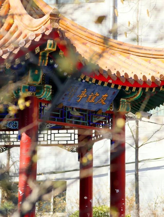 如何学好中医学，如何学好中医学作文（北京中医药大学2022年招生政策亮点及报考要点）