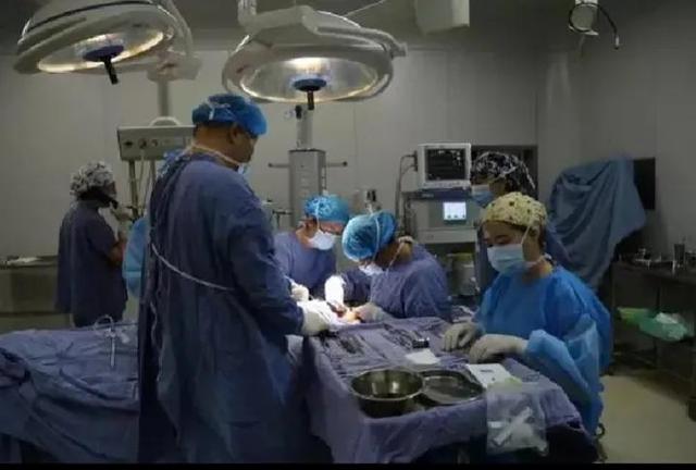 人死后会去哪里，人死了之后会去到哪里（人死后去了哪里）