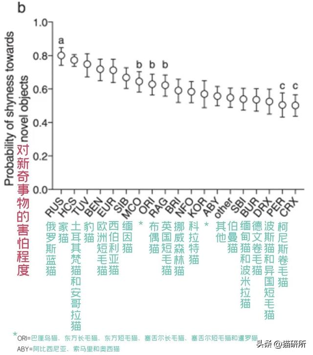 生肖牛的性格特征大盘点，十二生肖牛性格特点（社牛猫咪的6个行为特征）
