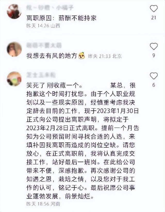 最佳离职原因30字左右，30字左右的个人离职申请怎么写（年后辞职理由大赏-我想去有风的地方）