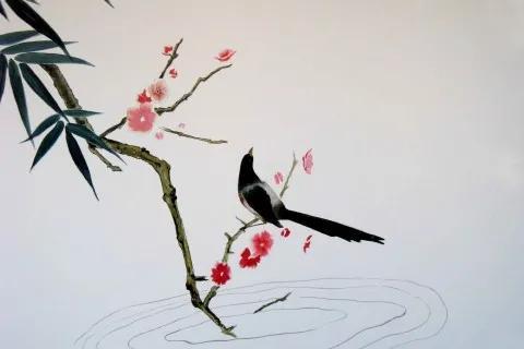 喜鹊图片大全大图，喜鹊的种类及分布图（喜鹊吉祥图片，精美手机壁纸）