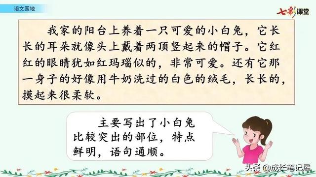 花骨朵是什么意思，