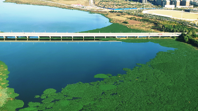 武汉周边哪里好玩，春节武汉周边自驾游哪里好玩（带孩子去武汉自驾游有哪些值得推荐的景点）