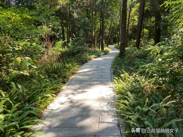 韶关丹霞山旅游攻略，韶关丹霞山旅游攻略 丹霞山好玩吗（黄飞鸿的故乡西樵山一日游游玩攻略）