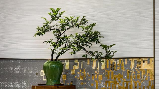 潮汕海鲜私房菜简介，这家，潮汕人圈内都在传…