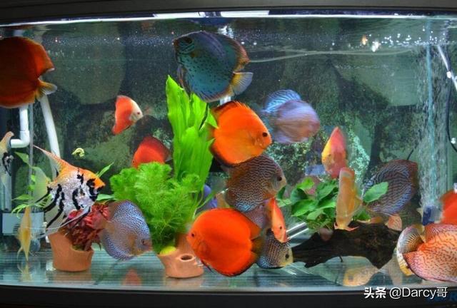 兴趣爱好有哪些，业余爱好有哪些（最适合男人的21个良好兴趣爱好）