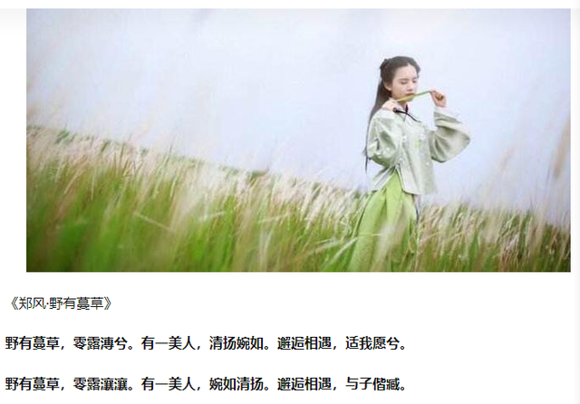 有文采典故的男孩名字，有诗词典故的男孩名字（中国人智慧之起名——《春秋左氏传》论名字）