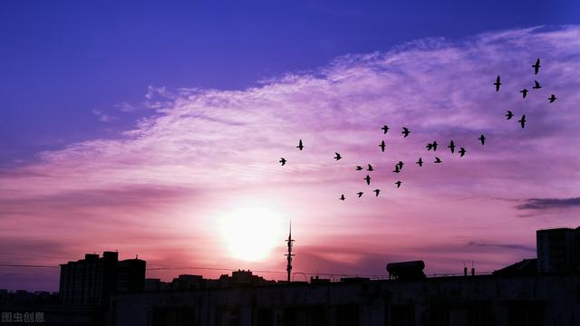 花开花落的意思，花开花落是什么意思（何事奈诗歌——听风听雨听落花）