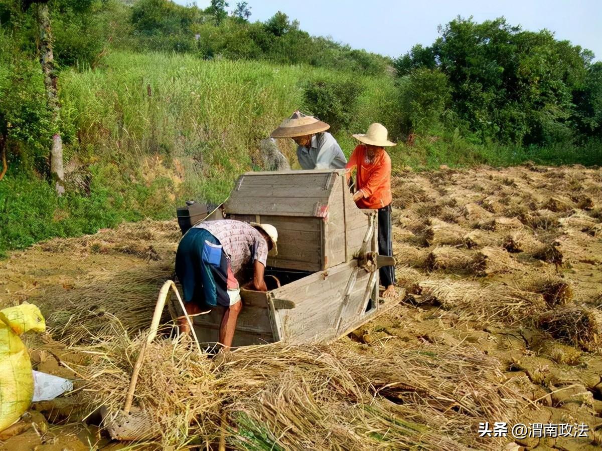 31岁残疾光棍收养弃婴,23年后被起诉要求断绝关系,法院判决支持-图2