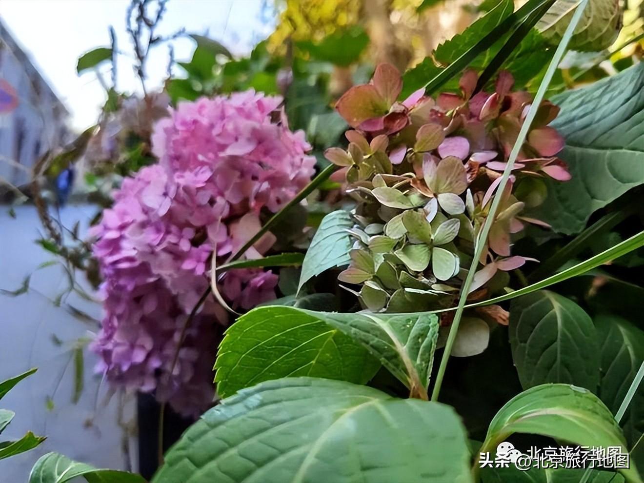 雨儿胡同33号:粟裕大将住宅