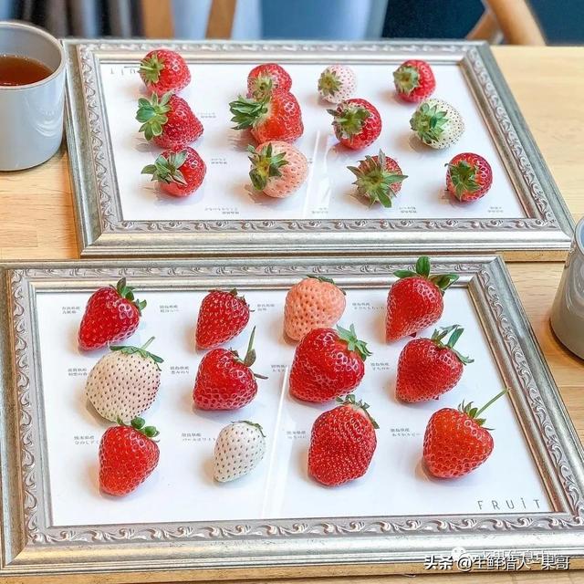 九九草莓特点，九九草莓有几个品种（中国草莓主要产地分布及品种介绍）