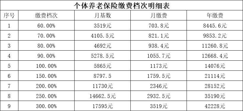 个体养老保险缴费档次明细表（社保档位价格明细表）