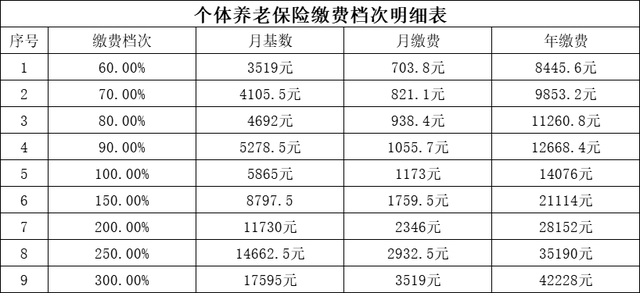 2022年社保缴费明细表，2022年社保缴费明细表档次（个体养老保险缴费档次明细表）