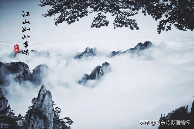 松树有什么象征与含义，松树象征的意义是什么（松在中华文化中象征着一种精神）