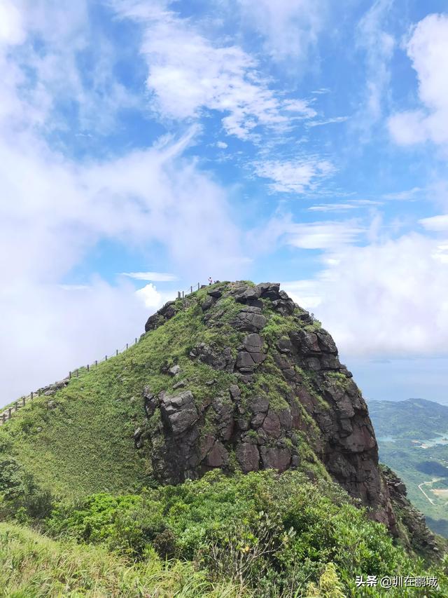 深圳五一去哪玩，五一假期去哪里玩（深圳的山、海、公园）